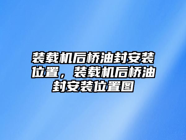 裝載機(jī)后橋油封安裝位置，裝載機(jī)后橋油封安裝位置圖