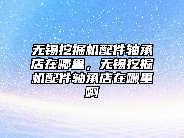 無錫挖掘機配件軸承店在哪里，無錫挖掘機配件軸承店在哪里啊