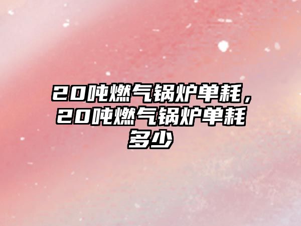 20噸燃?xì)忮仩t單耗，20噸燃?xì)忮仩t單耗多少