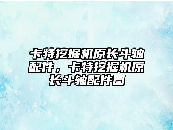 卡特挖掘機原長斗軸配件，卡特挖掘機原長斗軸配件圖