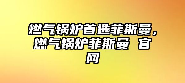 燃?xì)忮仩t首選菲斯曼，燃?xì)忮仩t菲斯曼 官網(wǎng)