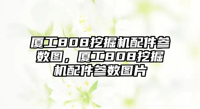 廈工808挖掘機(jī)配件參數(shù)圖，廈工808挖掘機(jī)配件參數(shù)圖片