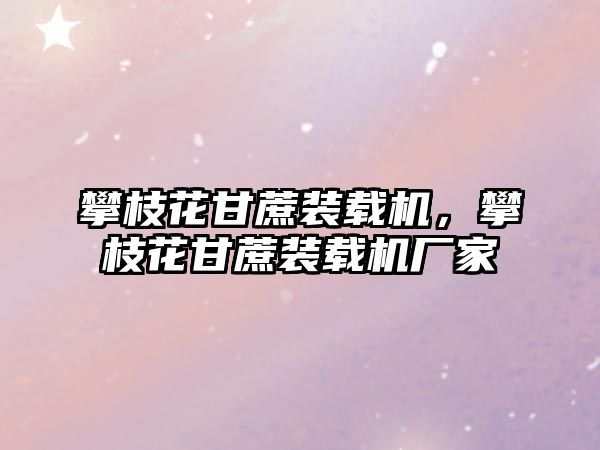 攀枝花甘蔗裝載機，攀枝花甘蔗裝載機廠家