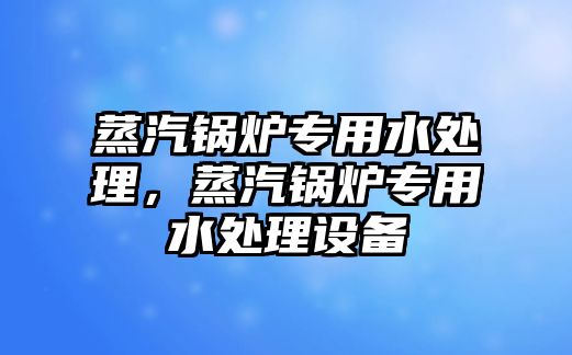 蒸汽鍋爐專用水處理，蒸汽鍋爐專用水處理設(shè)備