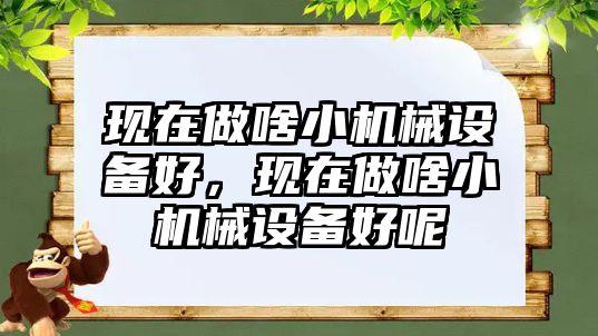 現(xiàn)在做啥小機(jī)械設(shè)備好，現(xiàn)在做啥小機(jī)械設(shè)備好呢