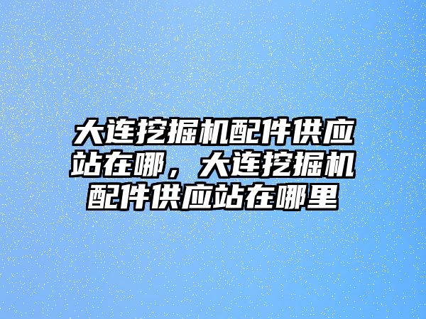 大連挖掘機配件供應站在哪，大連挖掘機配件供應站在哪里