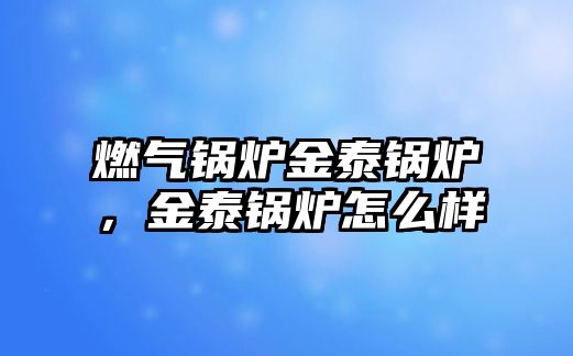 燃?xì)忮仩t金泰鍋爐，金泰鍋爐怎么樣