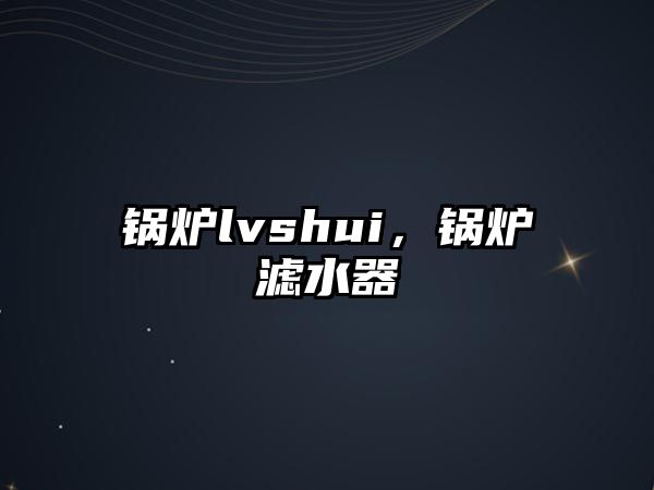 鍋爐lvshui，鍋爐濾水器