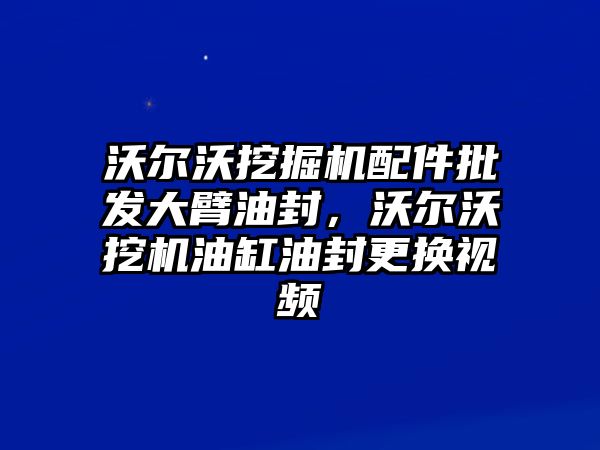 沃爾沃挖掘機(jī)配件批發(fā)大臂油封，沃爾沃挖機(jī)油缸油封更換視頻