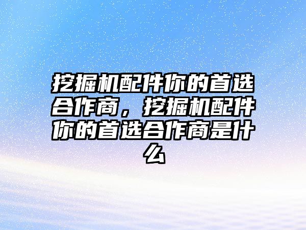 挖掘機(jī)配件你的首選合作商，挖掘機(jī)配件你的首選合作商是什么