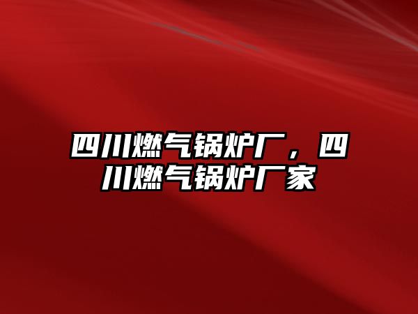 四川燃氣鍋爐廠，四川燃氣鍋爐廠家