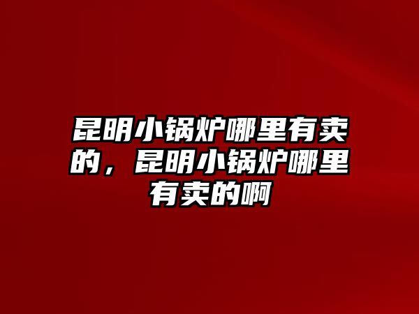 昆明小鍋爐哪里有賣的，昆明小鍋爐哪里有賣的啊