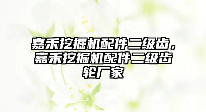 嘉禾挖掘機配件二級齒，嘉禾挖掘機配件二級齒輪廠家