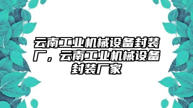 云南工業(yè)機(jī)械設(shè)備封裝廠，云南工業(yè)機(jī)械設(shè)備封裝廠家