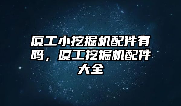 廈工小挖掘機配件有嗎，廈工挖掘機配件大全