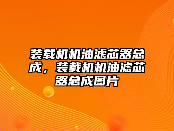 裝載機(jī)機(jī)油濾芯器總成，裝載機(jī)機(jī)油濾芯器總成圖片