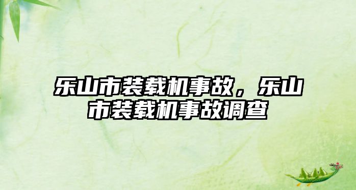 樂山市裝載機事故，樂山市裝載機事故調(diào)查