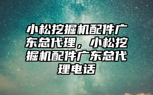 小松挖掘機配件廣東總代理，小松挖掘機配件廣東總代理電話