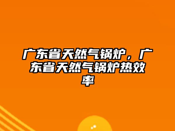 廣東省天然氣鍋爐，廣東省天然氣鍋爐熱效率