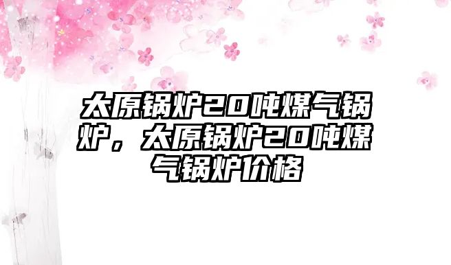 太原鍋爐20噸煤氣鍋爐，太原鍋爐20噸煤氣鍋爐價格