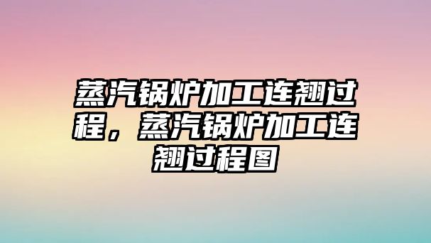 蒸汽鍋爐加工連翹過程，蒸汽鍋爐加工連翹過程圖