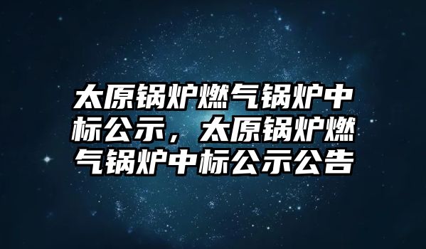 太原鍋爐燃?xì)忮仩t中標(biāo)公示，太原鍋爐燃?xì)忮仩t中標(biāo)公示公告