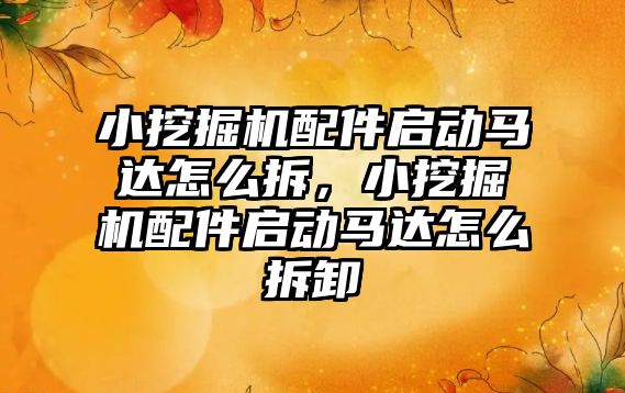 小挖掘機配件啟動馬達怎么拆，小挖掘機配件啟動馬達怎么拆卸