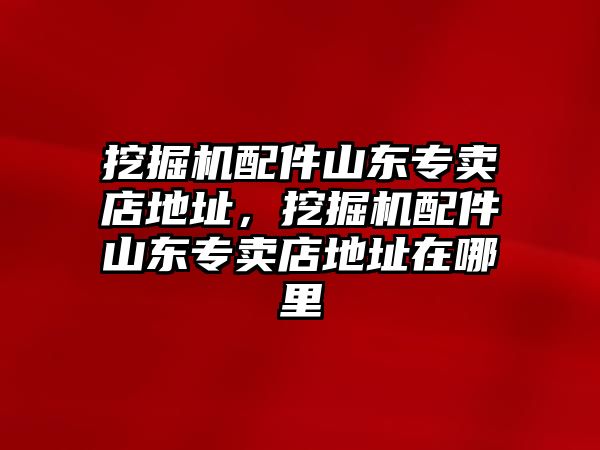 挖掘機配件山東專賣店地址，挖掘機配件山東專賣店地址在哪里