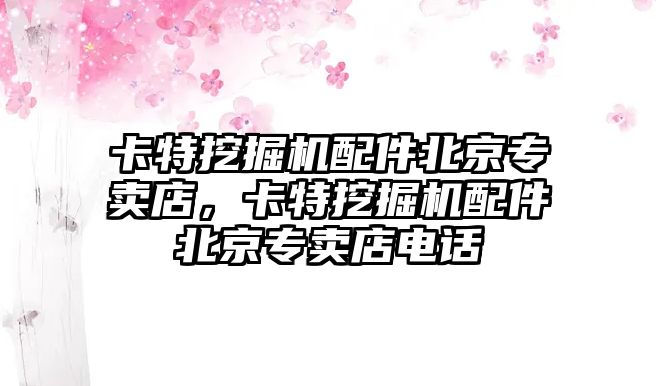 卡特挖掘機配件北京專賣店，卡特挖掘機配件北京專賣店電話