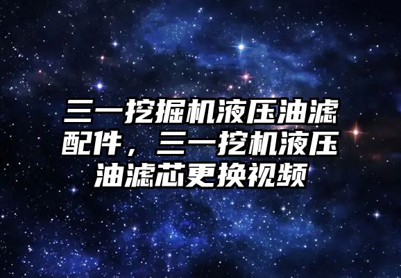 三一挖掘機(jī)液壓油濾配件，三一挖機(jī)液壓油濾芯更換視頻