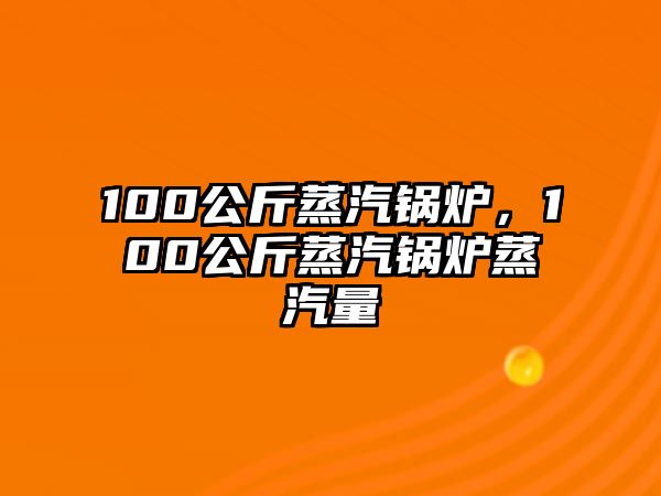 100公斤蒸汽鍋爐，100公斤蒸汽鍋爐蒸汽量