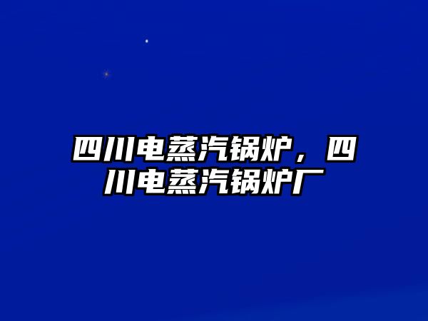 四川電蒸汽鍋爐，四川電蒸汽鍋爐廠