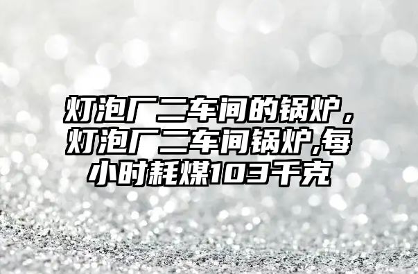 燈泡廠二車間的鍋爐，燈泡廠二車間鍋爐,每小時(shí)耗煤103千克