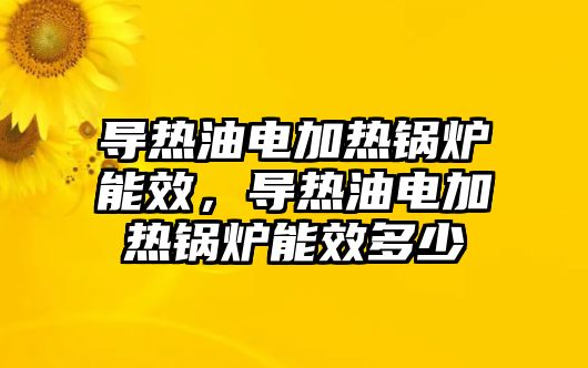 導熱油電加熱鍋爐能效，導熱油電加熱鍋爐能效多少