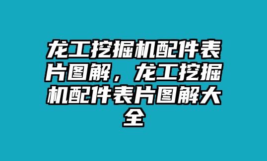 龍工挖掘機配件表片圖解，龍工挖掘機配件表片圖解大全