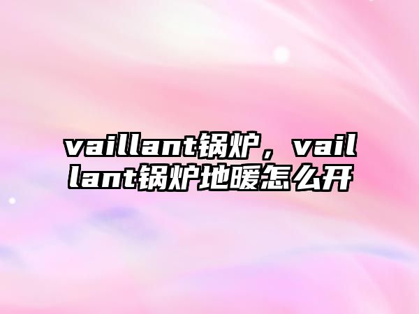 vaillant鍋爐，vaillant鍋爐地暖怎么開(kāi)