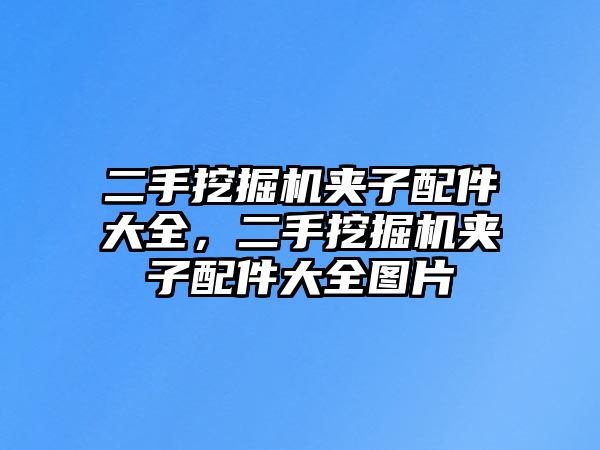 二手挖掘機(jī)夾子配件大全，二手挖掘機(jī)夾子配件大全圖片