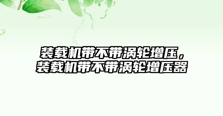 裝載機帶不帶渦輪增壓，裝載機帶不帶渦輪增壓器