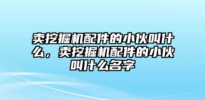 賣挖掘機配件的小伙叫什么，賣挖掘機配件的小伙叫什么名字