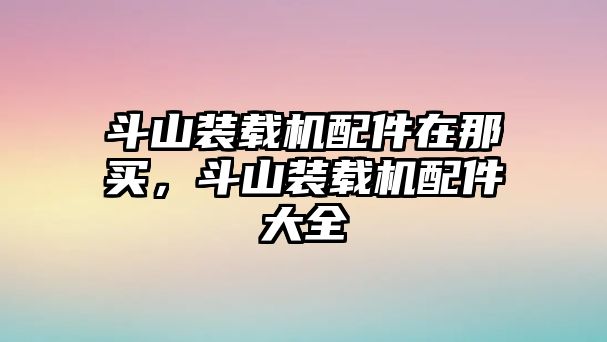 斗山裝載機配件在那買，斗山裝載機配件大全