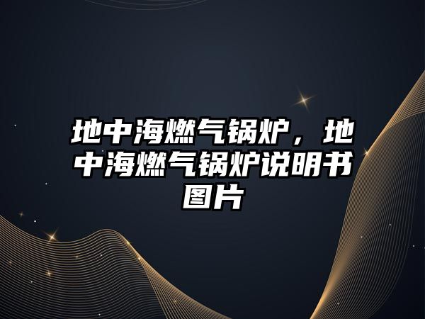 地中海燃?xì)忮仩t，地中海燃?xì)忮仩t說明書圖片