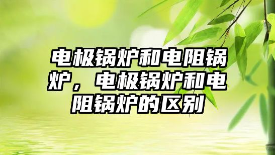 電極鍋爐和電阻鍋爐，電極鍋爐和電阻鍋爐的區(qū)別