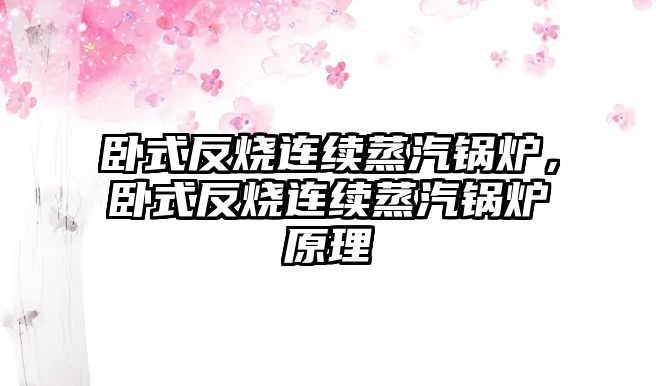 臥式反燒連續(xù)蒸汽鍋爐，臥式反燒連續(xù)蒸汽鍋爐原理