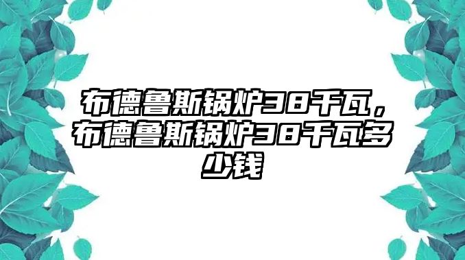 布德魯斯鍋爐38千瓦，布德魯斯鍋爐38千瓦多少錢