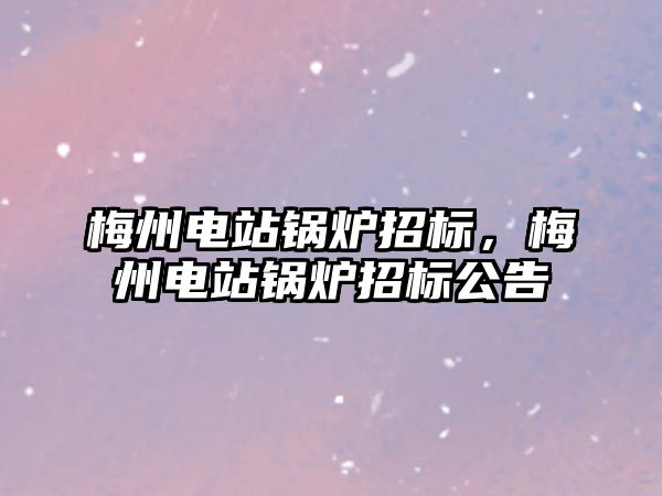 梅州電站鍋爐招標，梅州電站鍋爐招標公告