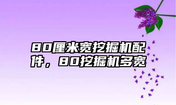 80厘米寬挖掘機配件，80挖掘機多寬