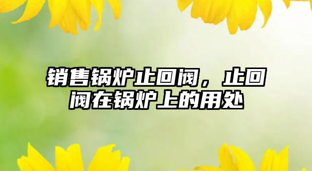 銷售鍋爐止回閥，止回閥在鍋爐上的用處