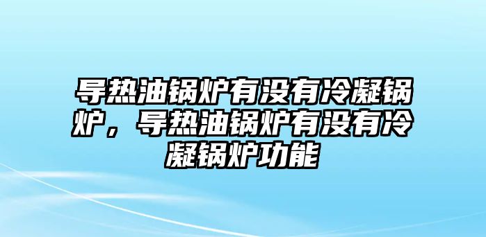 導(dǎo)熱油鍋爐有沒有冷凝鍋爐，導(dǎo)熱油鍋爐有沒有冷凝鍋爐功能