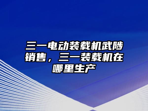 三一電動裝載機武陟銷售，三一裝載機在哪里生產(chǎn)