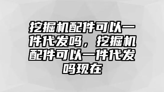 挖掘機(jī)配件可以一件代發(fā)嗎，挖掘機(jī)配件可以一件代發(fā)嗎現(xiàn)在